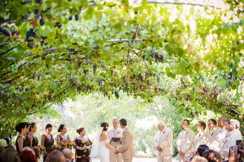 Ceremony shot of hanging purple grapes