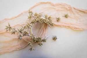 Portraits of Fantasy – 2021 Photo Shoot