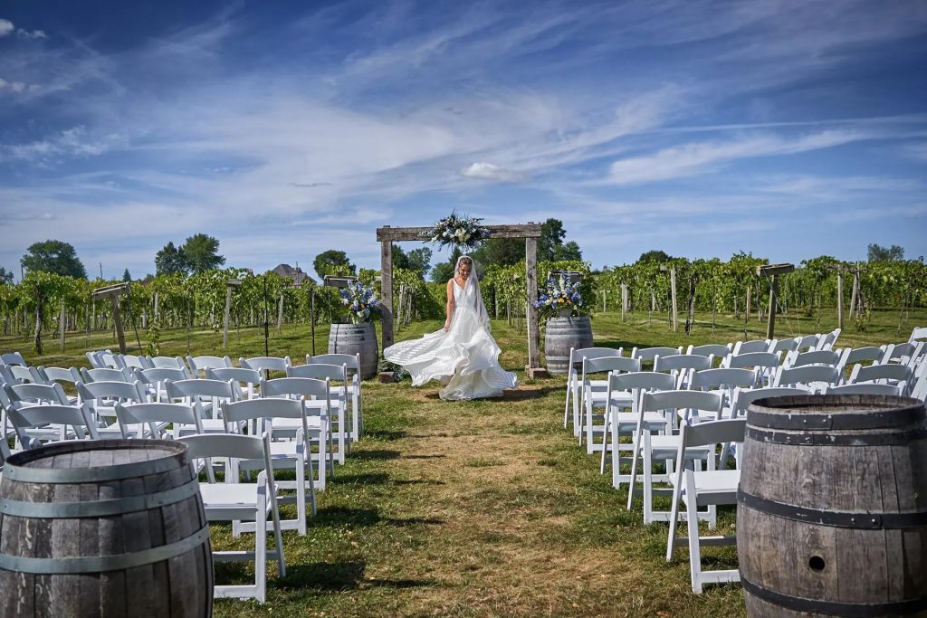 Wedding vineyard