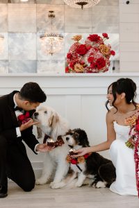 Red Velvet Romance