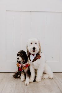 Red Velvet Romance