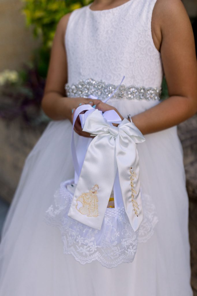 Hidden Mickeys & Happily Ever After: Myriam & Ryan’s Magical Celebration