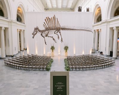 Field Museum Chicago